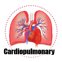 cardiopulmonary icon