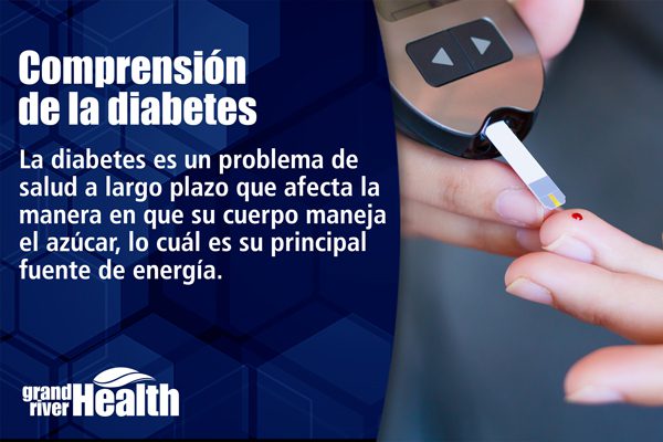 Read more about the article Comprensión de la diabetes