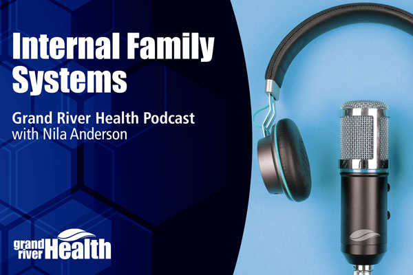 Read more about the article Internal Family Systems